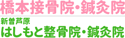 橋本接骨院・鍼灸院、新曽芦原はしもと整骨院・鍼灸院